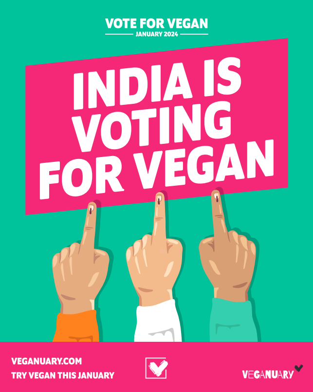 India Votes For Vegan It is a clear majority as nearly 60% Indians want to try vegan.