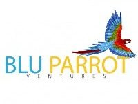 Blu parrot Forges Powerful Partnership with Bright Data to Harness Public Web Data for Advance Data Analytics & AI