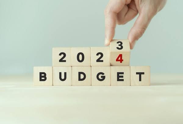 Corporates and Startups Navigate Optimism and Caution in Response to Budget Announcements