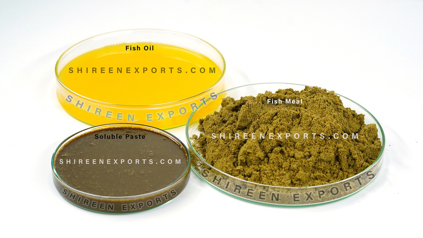 Discover the Unmatched Quality for Premium Fish Meal Manufacturer , Fish oil and Fish Soluble Paste – Setting Global Standards from India
