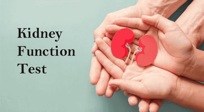 How to Know if Your Kidneys are Functioning Well?