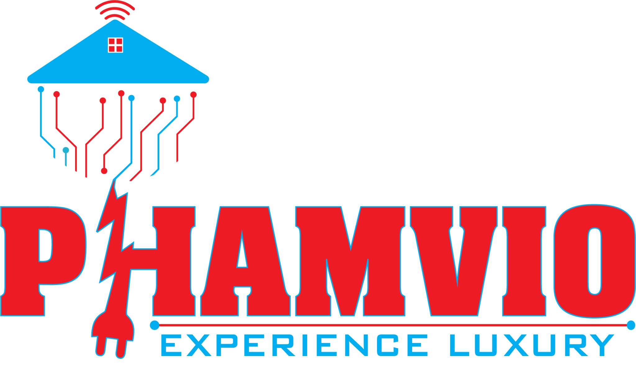 Building a Personal Brand: The Journey of Gurpreet Singh and PHAMVIO TECHNOLOGIES