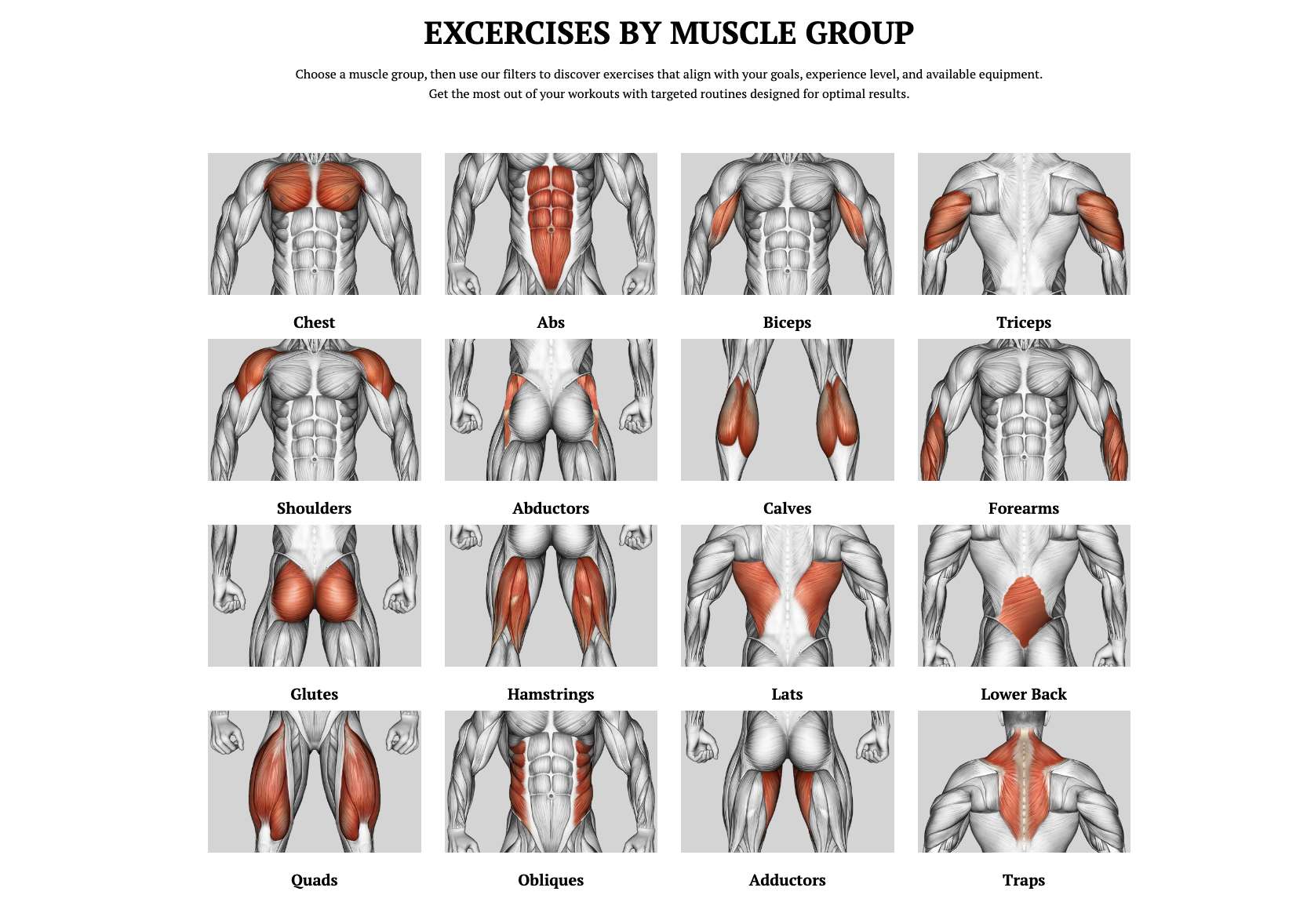 Flexxp.com: Unlock Your Fitness Potential with the Ultimate Workout Generator