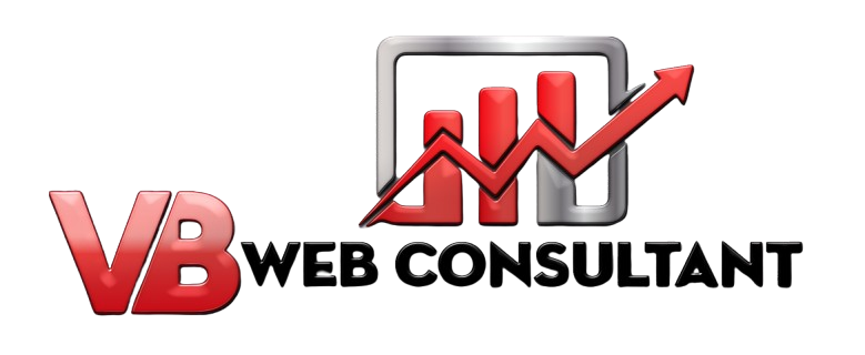 Experienced VB Web Consultant, Vinaykumar Raval, Helps Businesses Thrive Online