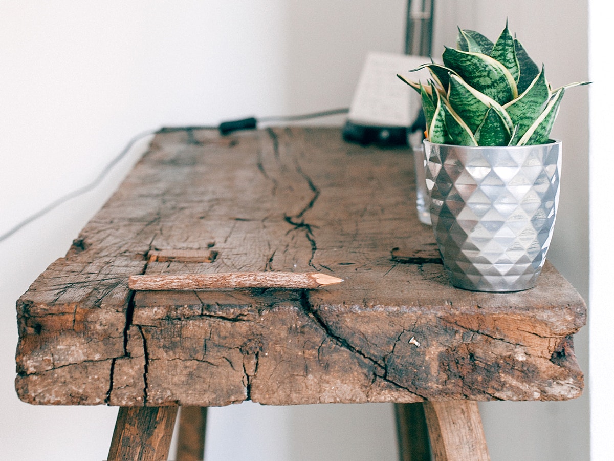 What to keep as Desk plants?
